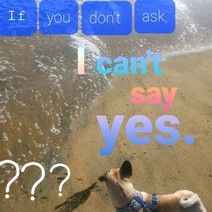 Make a reasonable offer I will probably agree.